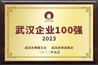 尊龙凯时荣登“武汉企业100强”榜单